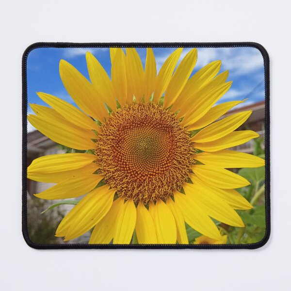 Item preview, Brighten your Day with this Gorgeous Yellow Sunflower with Blue Sky designed and sold by jaynerushton.