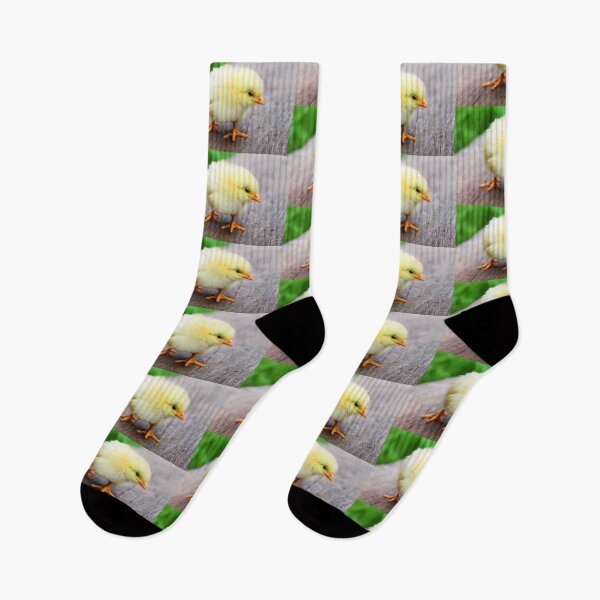 Item preview, Baby Yellow Chick Photo designed and sold by TheAnimalZ00.
