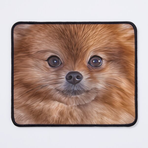 Item preview, Drawing Dog Pomeranian Spitz  designed and sold by bonidog.