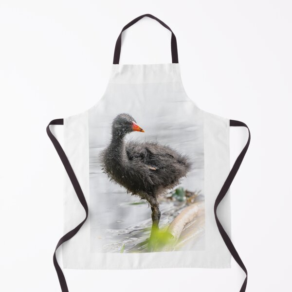 Item preview, Dusky Moorhen Chick designed and sold by Kathie Thomas.