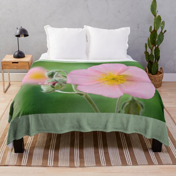 Item preview, Helianthemum 'Rhodanthe Carneum' AGM Rock rose 'Wisley Pink' designed and sold by Chris Burrows.