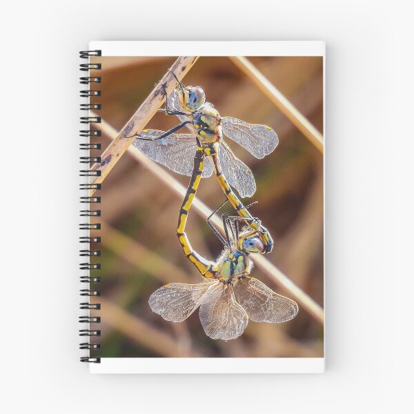 Item preview, Two Dragonflies designed and sold by Kathie Thomas.