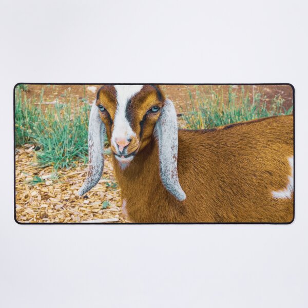 Item preview, Young Anglo Nubian Goat designed and sold by TheAnimalZ00.