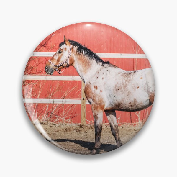 Item preview, Appaloosa Horse designed and sold by TheAnimalZ00.