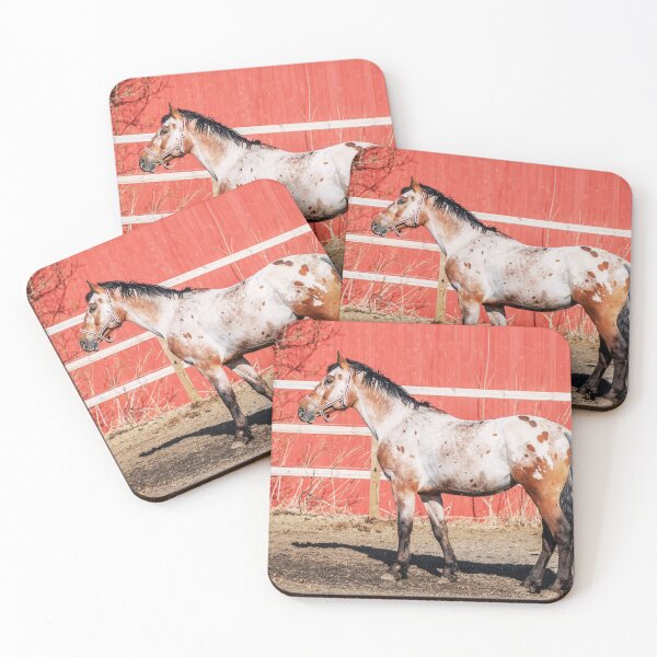 Item preview, Appaloosa Horse designed and sold by TheAnimalZ00.