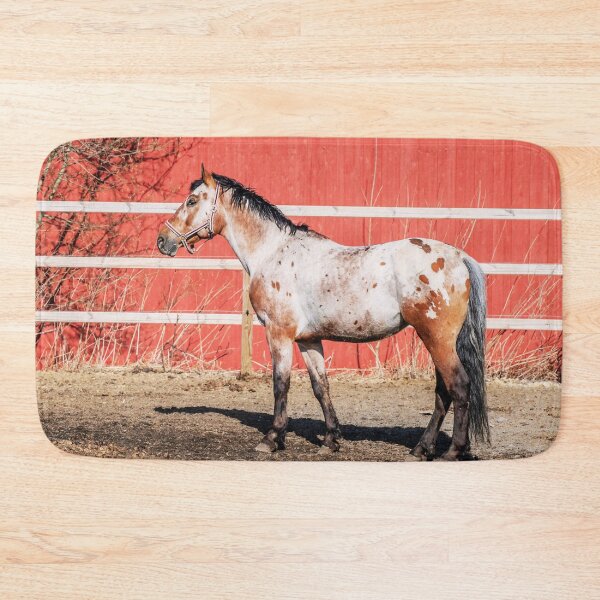 Item preview, Appaloosa Horse designed and sold by TheAnimalZ00.