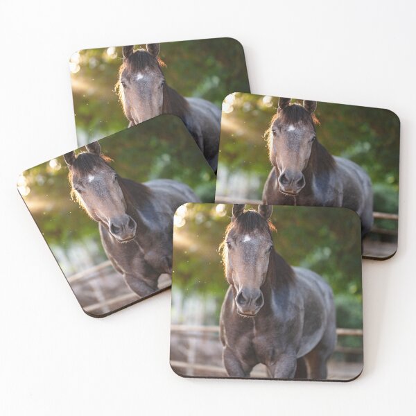 Item preview, Appaloosa Horse designed and sold by TheAnimalZ00.