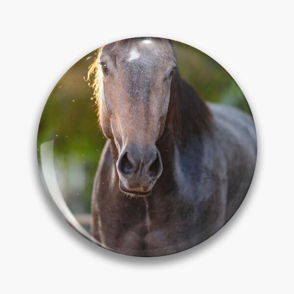 Item preview, Appaloosa Horse designed and sold by TheAnimalZ00.