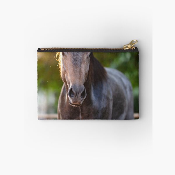 Item preview, Appaloosa Horse designed and sold by TheAnimalZ00.