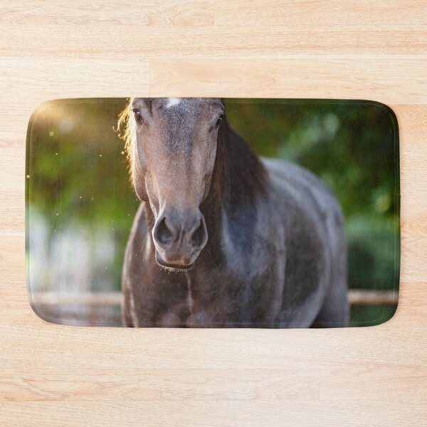 Item preview, Appaloosa Horse designed and sold by TheAnimalZ00.