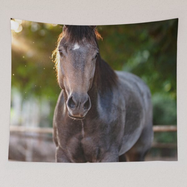 Item preview, Appaloosa Horse designed and sold by TheAnimalZ00.
