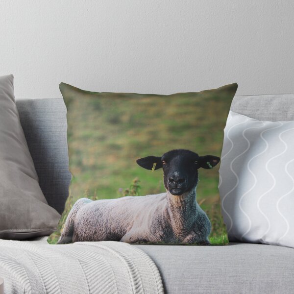 Item preview, Suffolk Sheep designed and sold by TheAnimalZ00.
