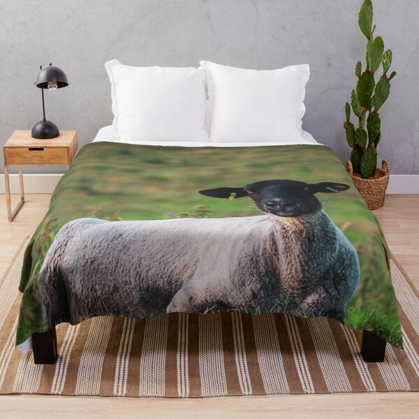 Item preview, Suffolk Sheep designed and sold by TheAnimalZ00.