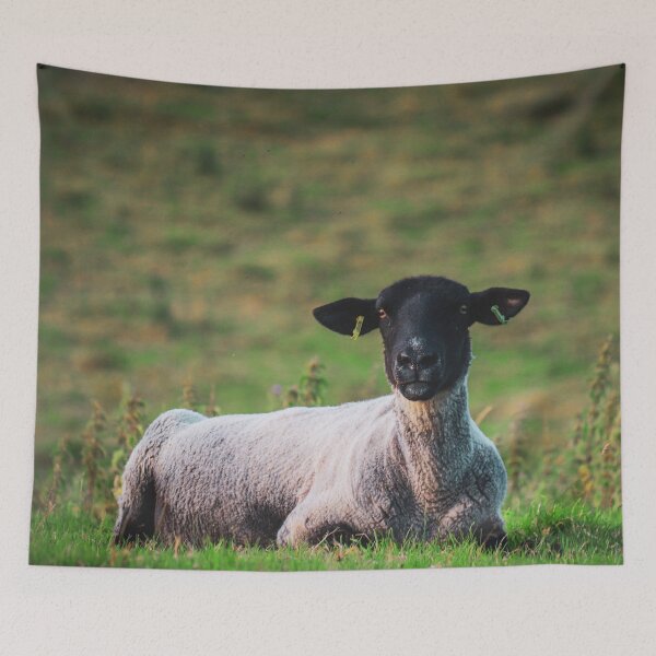 Item preview, Suffolk Sheep designed and sold by TheAnimalZ00.