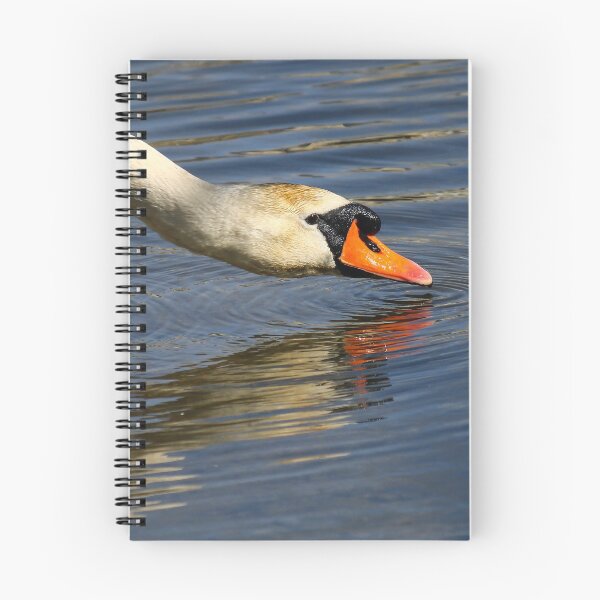 Item preview, Reflection designed and sold by GreyFeatherPhot.