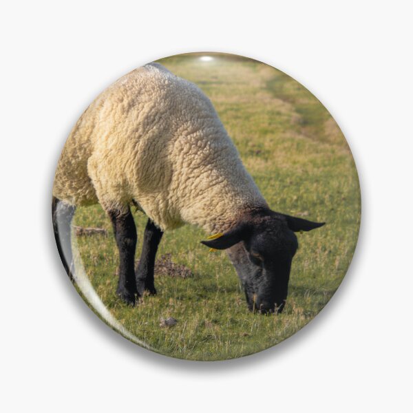 Artikelvorschau, Suffolk-Schafe entworfen und verkauft von TheAnimalZ00.