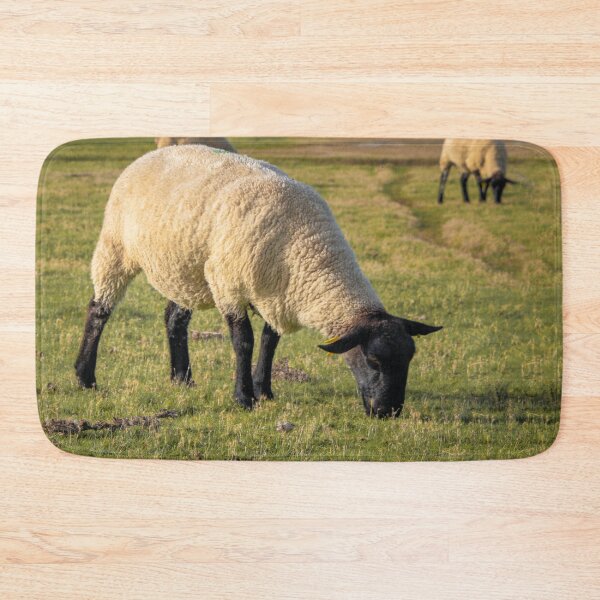 Item preview, Suffolk Sheeps designed and sold by TheAnimalZ00.
