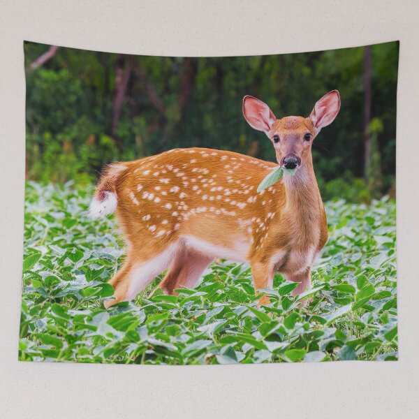 Item preview, White Tailed Deer designed and sold by TheAnimalZ00.