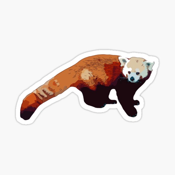 Cute Red Panda Drinking Cup of Black Coffee 2 Sticker for Sale by  eyestetix