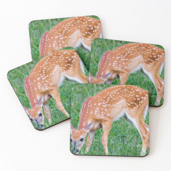 Item preview, A White Tailed Deer designed and sold by TheAnimalZ00.