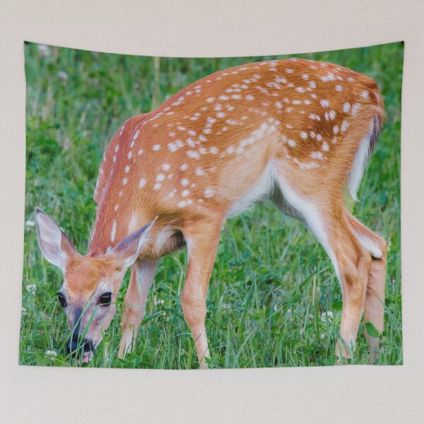 Item preview, A White Tailed Deer designed and sold by TheAnimalZ00.