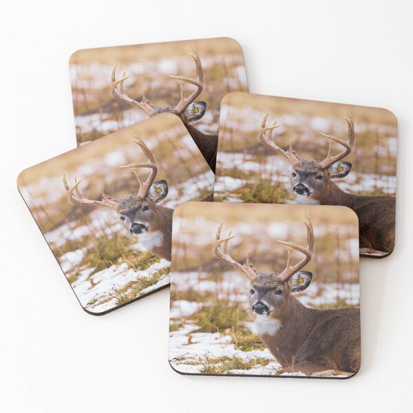 Item preview, White Tailed Buck designed and sold by TheAnimalZ00.
