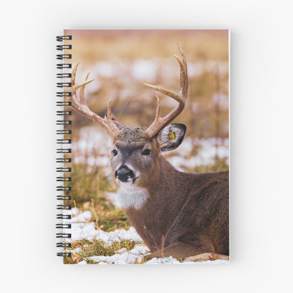 Item preview, White Tailed Buck designed and sold by TheAnimalZ00.