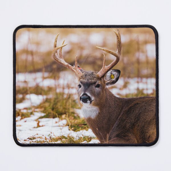 Item preview, White Tailed Buck designed and sold by TheAnimalZ00.