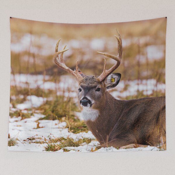 Item preview, White Tailed Buck designed and sold by TheAnimalZ00.