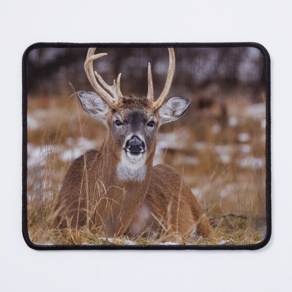 Item preview, White Tail Buck designed and sold by TheAnimalZ00.