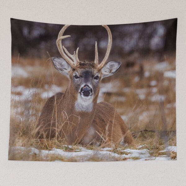 Item preview, White Tail Buck designed and sold by TheAnimalZ00.