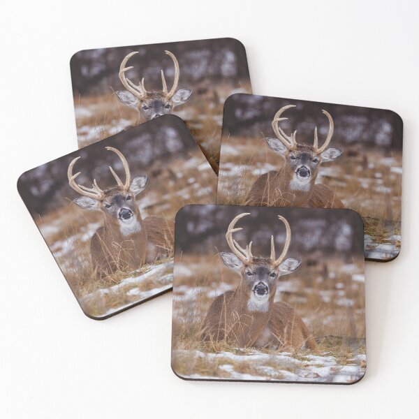 Item preview, White Tail Buck designed and sold by TheAnimalZ00.