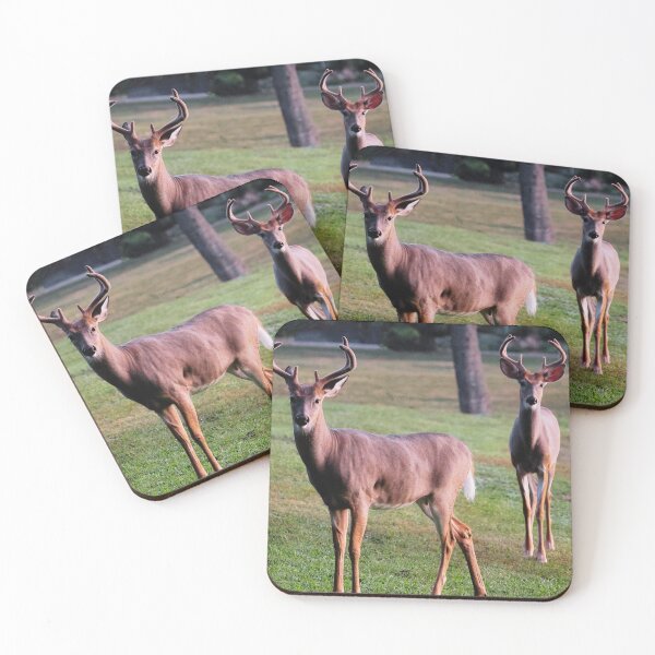 Item preview, White Tailed Deers designed and sold by TheAnimalZ00.