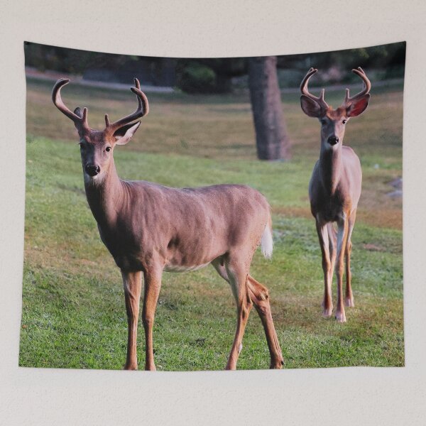Item preview, White Tailed Deers designed and sold by TheAnimalZ00.