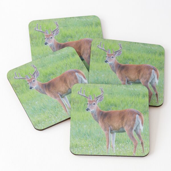 Item preview, White Tail Deer Photo designed and sold by TheAnimalZ00.
