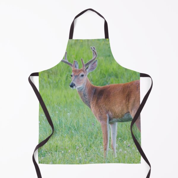 Item preview, White Tail Deer Photo designed and sold by TheAnimalZ00.