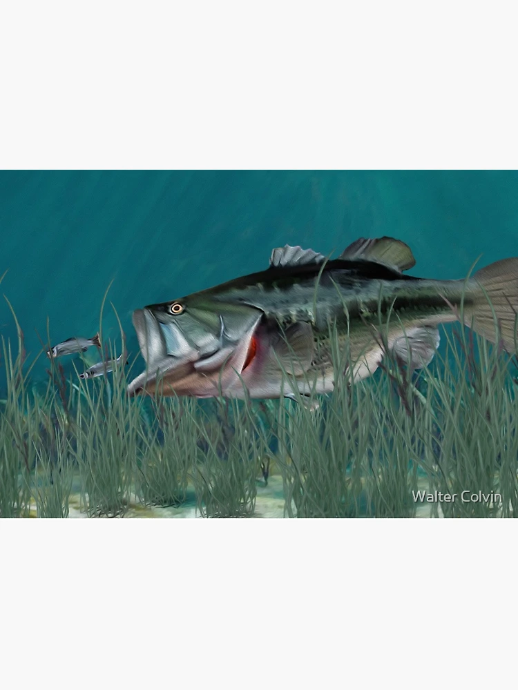 Largemouth Bass Chasing Minnows | Art Board Print