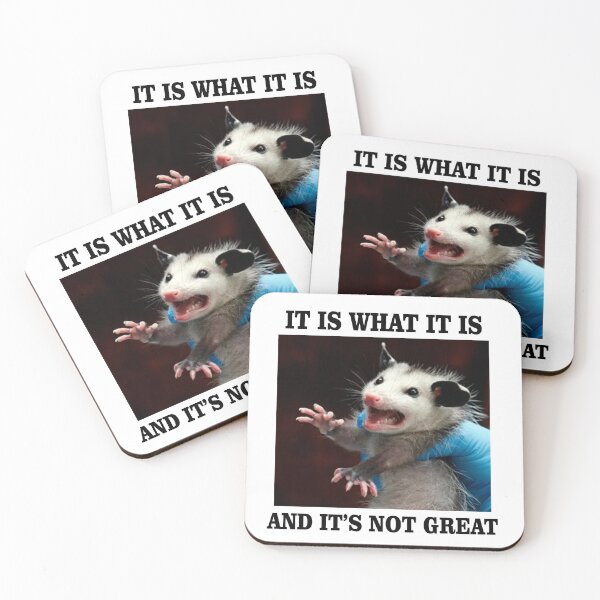 Item preview, it is what it is and it isnt great opossum possum designed and sold by resindrop.
