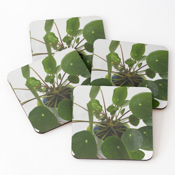 Item preview, Money plant  designed and sold by Thxvvxtchx.