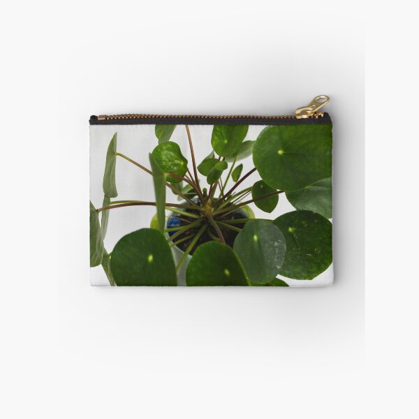 Item preview, Money plant  designed and sold by Thxvvxtchx.