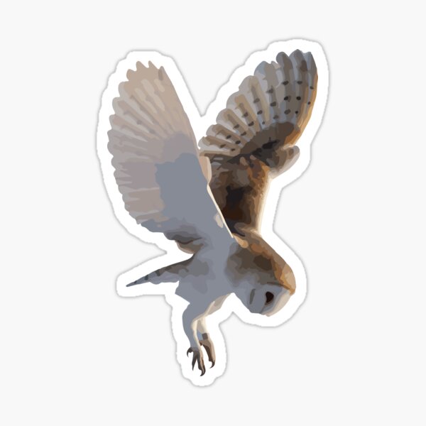 Item preview, Barn Owl in Flight designed and sold by kaylahall505.