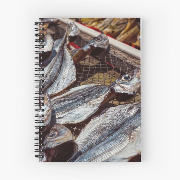 Item preview, Dried sardines in the Nazares sun - photo designed and sold by CineWanderlust.