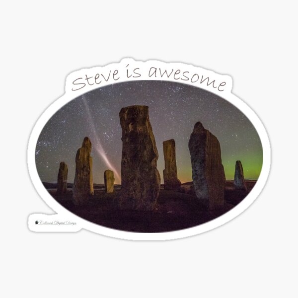 Steve is awesome Sticker
