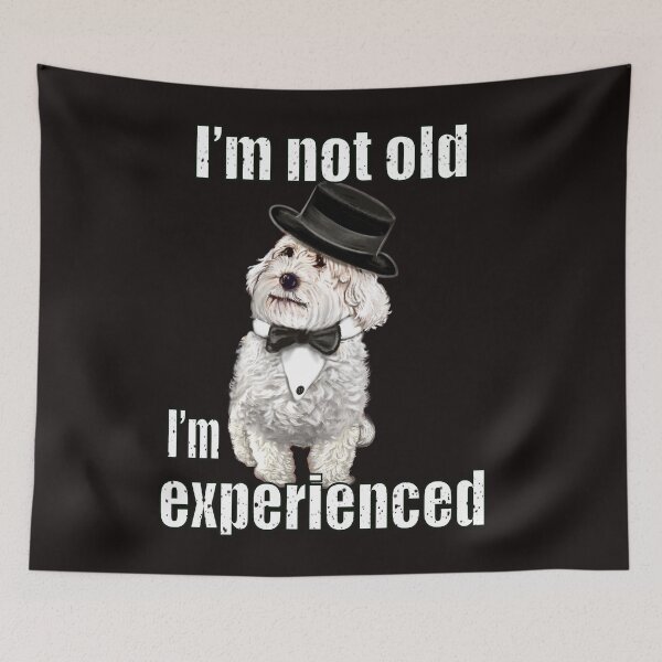 Item preview, I’m not old I’m classic experienced funny humor getting older joke with Cavapoo dog designed and sold by Artonmytee.
