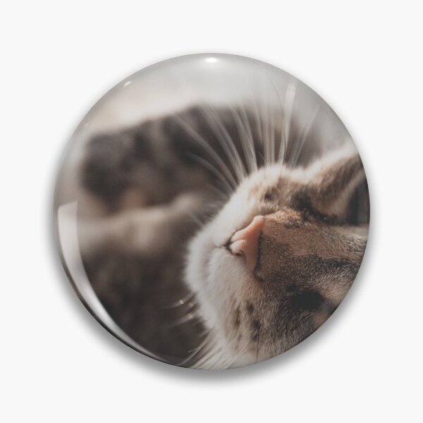 Item preview, Hola gatito designed and sold by MailineShop.