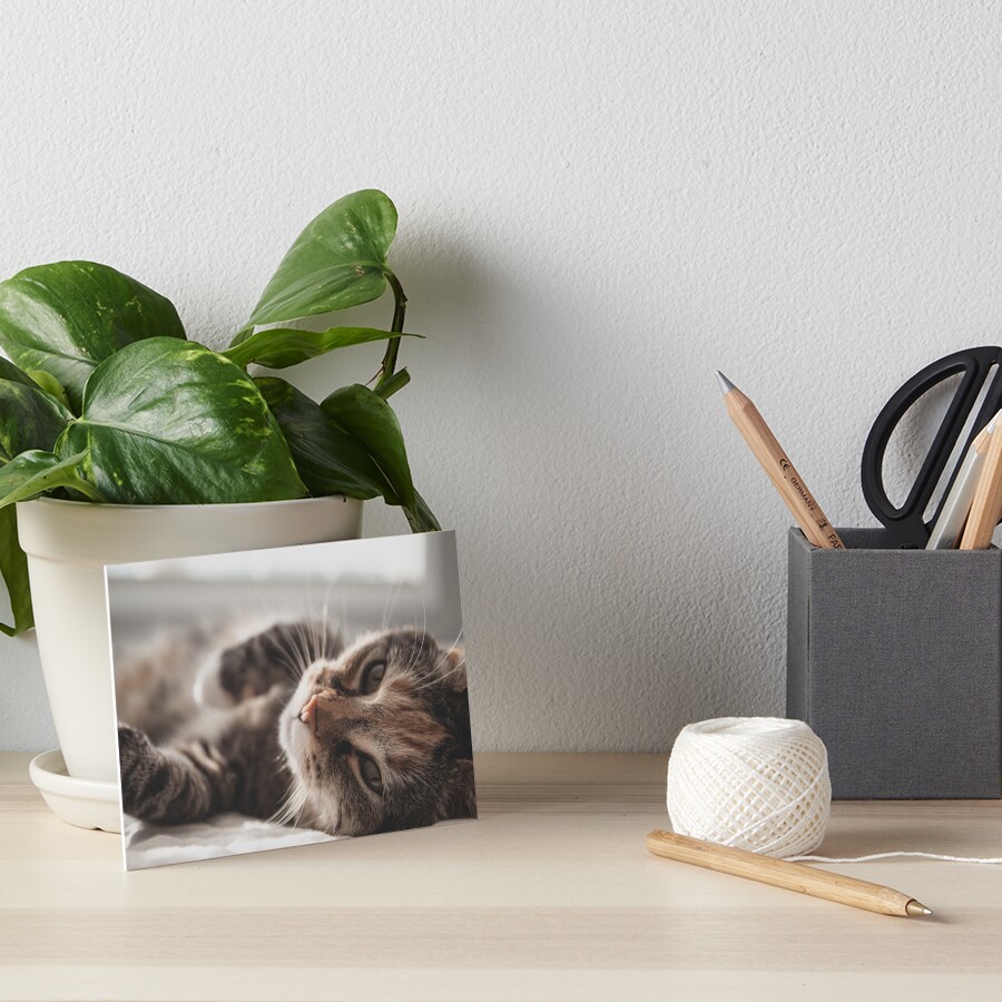 Item preview, Art Board Print designed and sold by MailineShop.