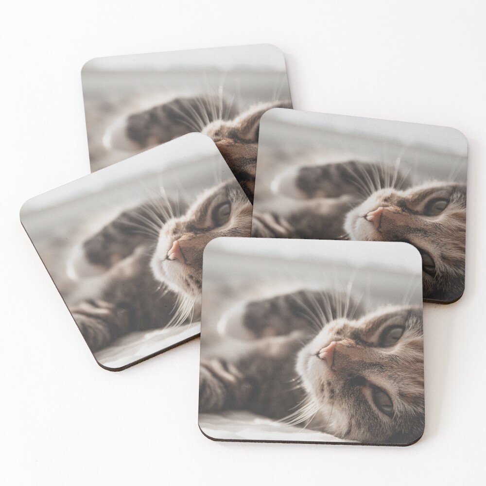 Item preview, Coasters (Set of 4) designed and sold by MailineShop.