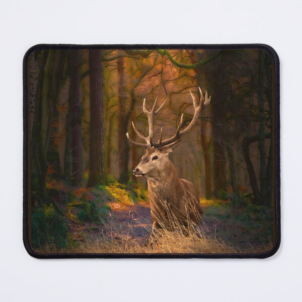 Item preview, Scottish Red Deer Stag designed and sold by Alisonchambers2.