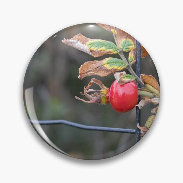 Item preview, Rose Hip designed and sold by Calidris Fotografie Steffi & Ben Köppler.