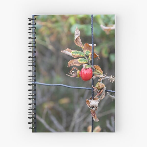 Item preview, Rose Hip designed and sold by Calidris Fotografie Steffi & Ben Köppler.